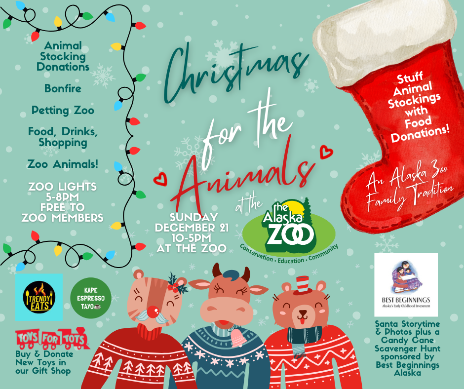 Christmas for the Animals + Zoo Lights — The Alaska Zoo